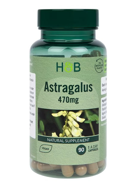 Astragalus, 470mg - 90 caps