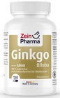 Ginkgo Biloba 5000, 100mg - 120 caps
