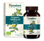 Tribulus - 60 caplets