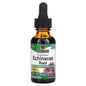 Echinacea Root, 1000mg - 30 ml.